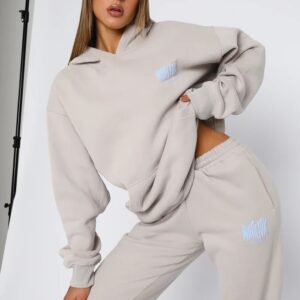 Archive 6.0 Oversized Hoodie Dove